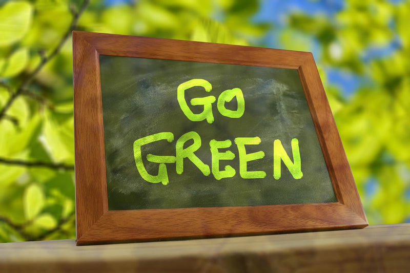 Ways to Go Green for College Students